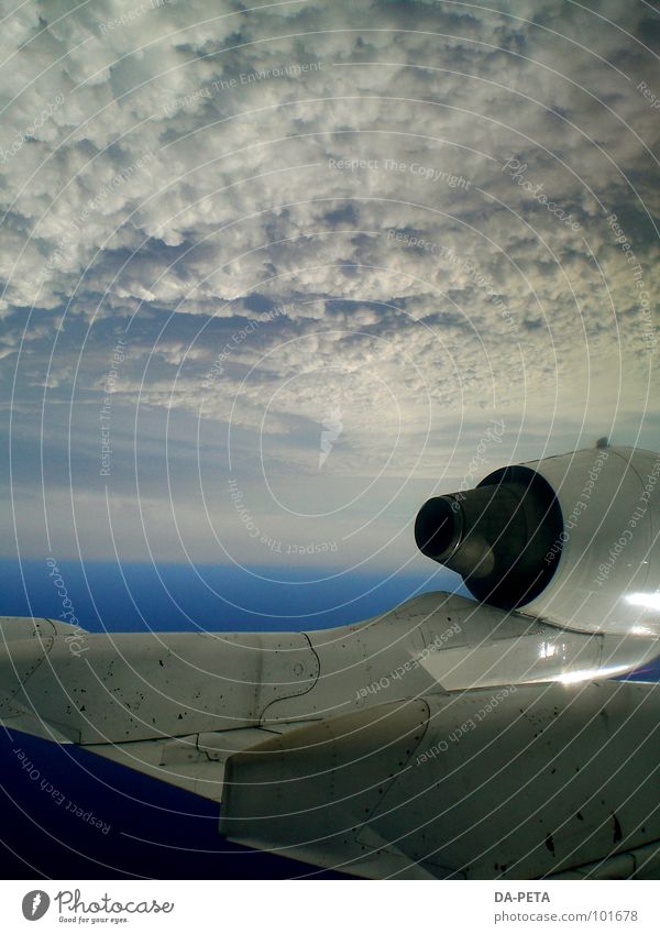 Die Welt steht Kopf Flugzeug Wolken weiß Himmel Wolkendecke Horizont Ferne tief Triebwerke Umwelt Luftverkehr Radarstation Absturzgefahr gleiten Schweben Flügel
