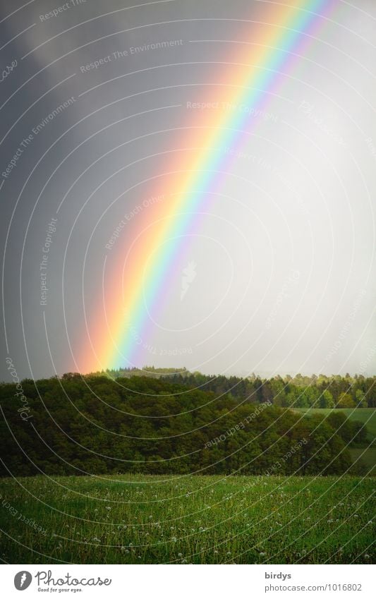 multicolor borderline Landschaft Gewitterwolken Regen Wiese Wald Regenbogen regenbogenfarben leuchten ästhetisch außergewöhnlich positiv mehrfarbig Glück