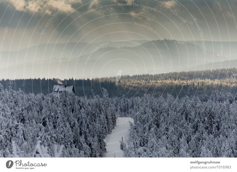 erster Schnee im Gebirge Winter wandern Natur Landschaft Wolken Sonne Wetter Eis Frost Baum Berge u. Gebirge kalt Erzgebirge Fichtelberg Deutschland Hügel