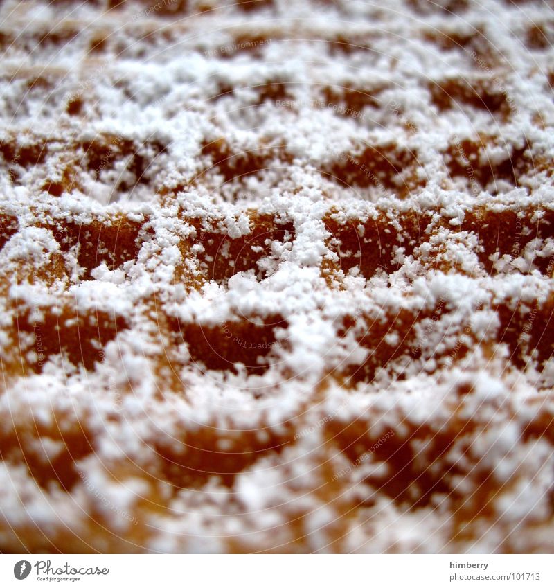 waffle now Waffel süß Zucker Dessert Ernährung Teigwaren Süßwaren gebacken himbeertoni Puderzucker