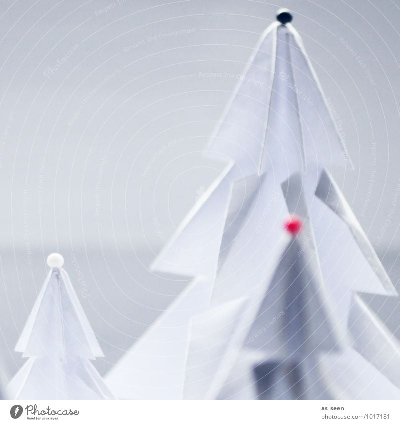Drei Tannenspitzen elegant Stil Design exotisch Wellness Leben harmonisch basteln Weihnachten & Advent Kunsthandwerk Origami Natur Landschaft Pflanze Winter