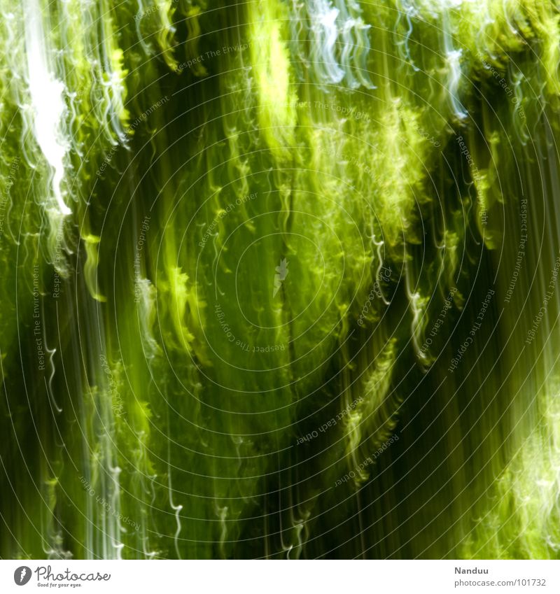 Lichtregen grün Bach Wald abstrakt Hintergrundbild Streifen Schliere Langzeitbelichtung schön Natur Fluss Pflanze wallpaper Fleck