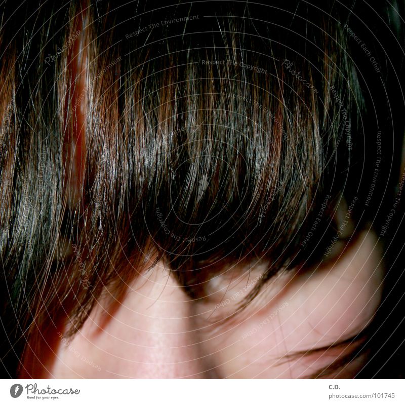 der Durchblick Haare & Frisuren braun rotbraun schwarz Jugendliche Gesicht Schatten Haut
