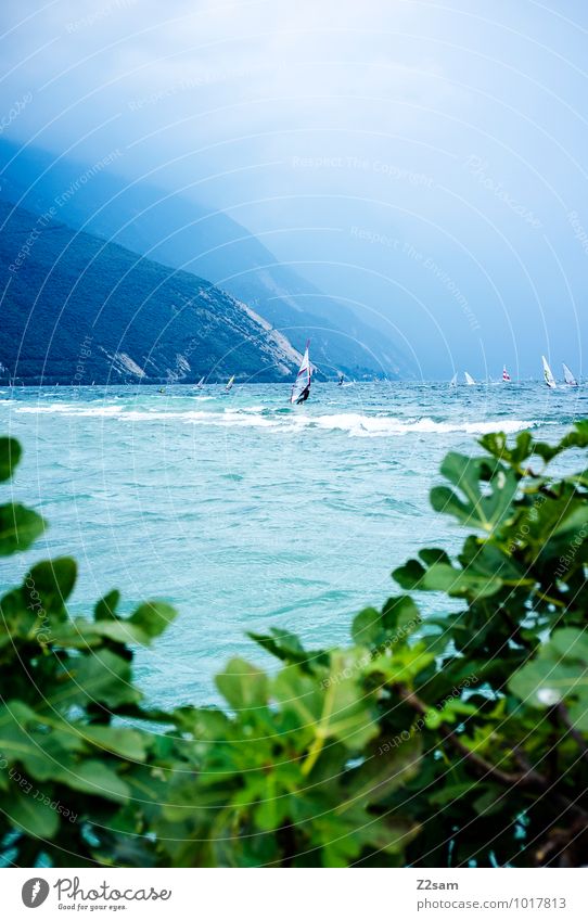 Ora Lifestyle Stil Freizeit & Hobby Ferien & Urlaub & Reisen Tourismus Sommerurlaub Wassersport Windsurfing Surfen 2 Mensch Natur Landschaft Himmel