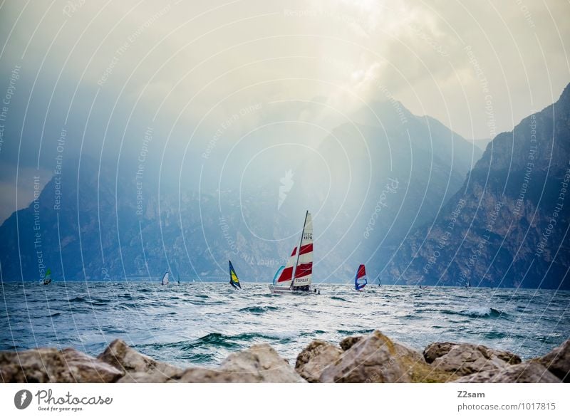 Lago di Garda Freizeit & Hobby Sport Wassersport Segeln Umwelt Natur Landschaft Himmel Wolken Sonne Sonnenlicht Sommer Wetter Schönes Wetter Bewegung fahren