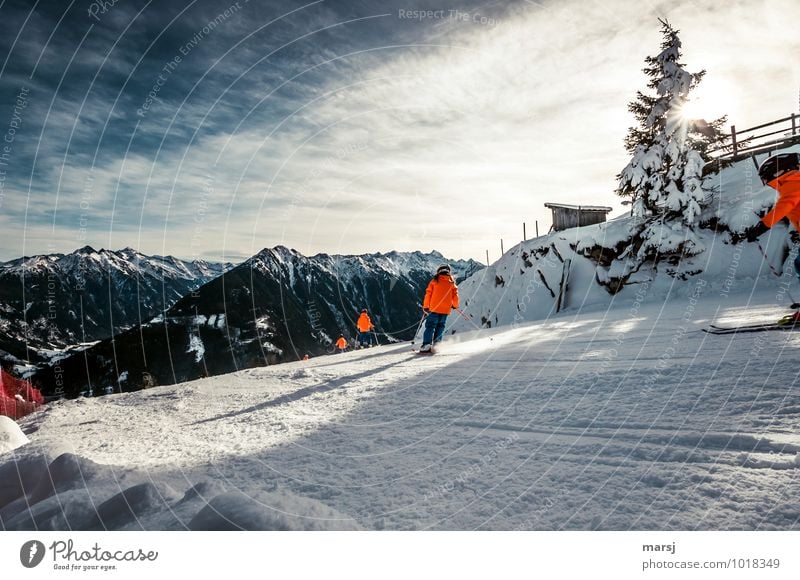 Ab auf die Piste! Freude Ferien & Urlaub & Reisen Tourismus Ausflug Freiheit Winter Schnee Winterurlaub Berge u. Gebirge Sport Wintersport Sportler Skifahren