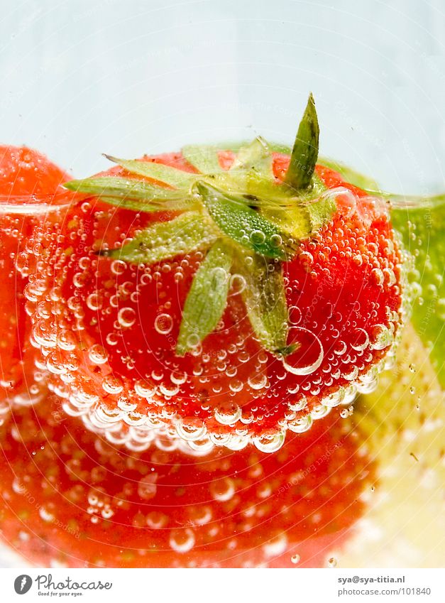 Erdbeere rot frisch Sommer Pflanze Getränk Frucht Ernährung Vegetarische Ernährung Detailaufnahme Erdbeeren Beeren strawberry lemon Limone bubbles Wasser