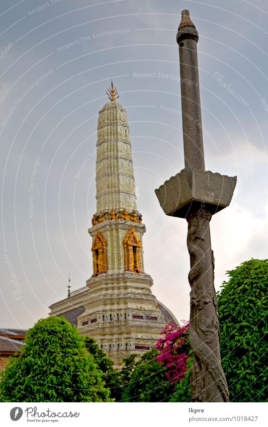 Bangkok im Tempel Ferien & Urlaub & Reisen Tourismus Gartenarbeit Kunst Architektur Kultur Natur Pflanze Himmel Regen Baum Blume Sträucher Rose exotisch Dorf