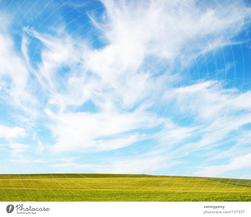 Biofrühstück III grün Wolken Ferne Horizont Wiese Unendlichkeit Ferien & Urlaub & Reisen Sommer Frühling mehrfarbig gelb blau Himmel Bioprodukte Amerika Natur