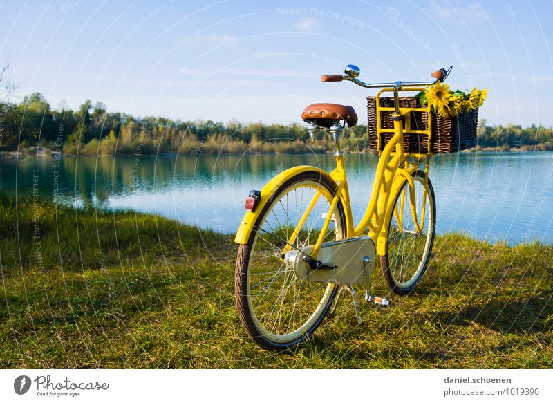 neulich am Baggersee Freizeit & Hobby Ausflug Fahrradtour Sommer Sonne See blau gelb Erholung ruhig Farbfoto Außenaufnahme Menschenleer Textfreiraum oben