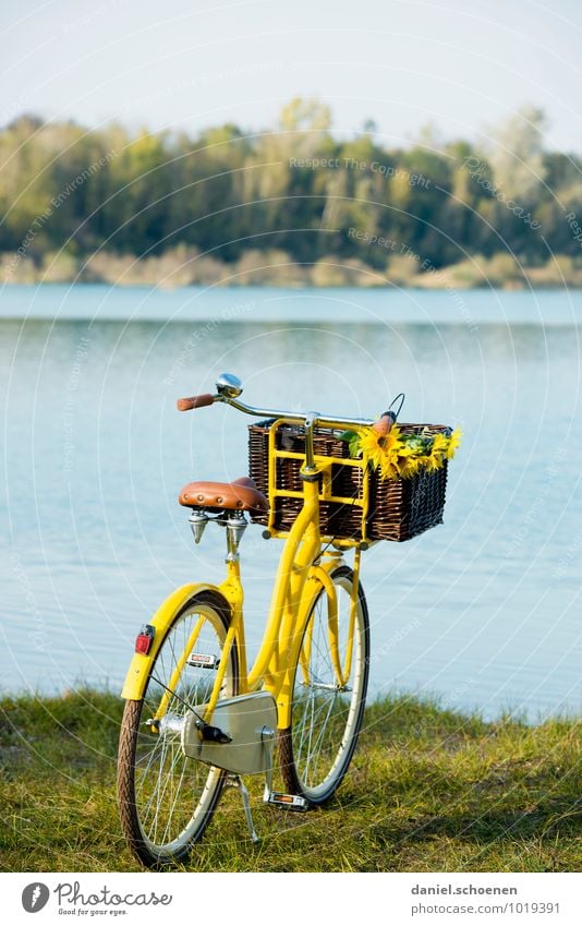 die Briefträgerin ist schwimmen Lifestyle Freizeit & Hobby Ausflug Fahrradtour Sommer Natur Landschaft Seeufer blau gelb Lebensfreude Farbfoto Außenaufnahme