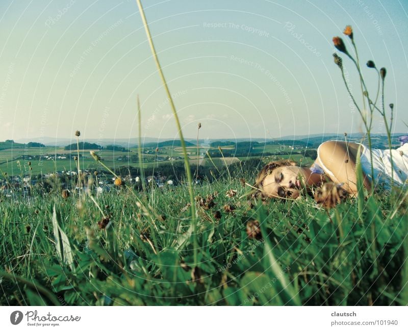wiesenduft Panorama (Aussicht) Wiese Gras Blume Sommer Frühling genießen ruhen Erholung schlafen ruhig Frau Wohlgefühl Berge u. Gebirge mühl mühlviertel