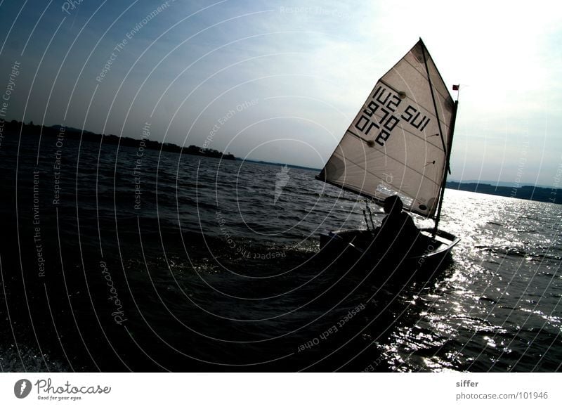 davon segeln Segeln Wasserfahrzeug Segelschiff Meer See schwarz weiß nass Licht Cola Himmel gehen Ferien & Urlaub & Reisen dunkel Sport Spielen Wassersport