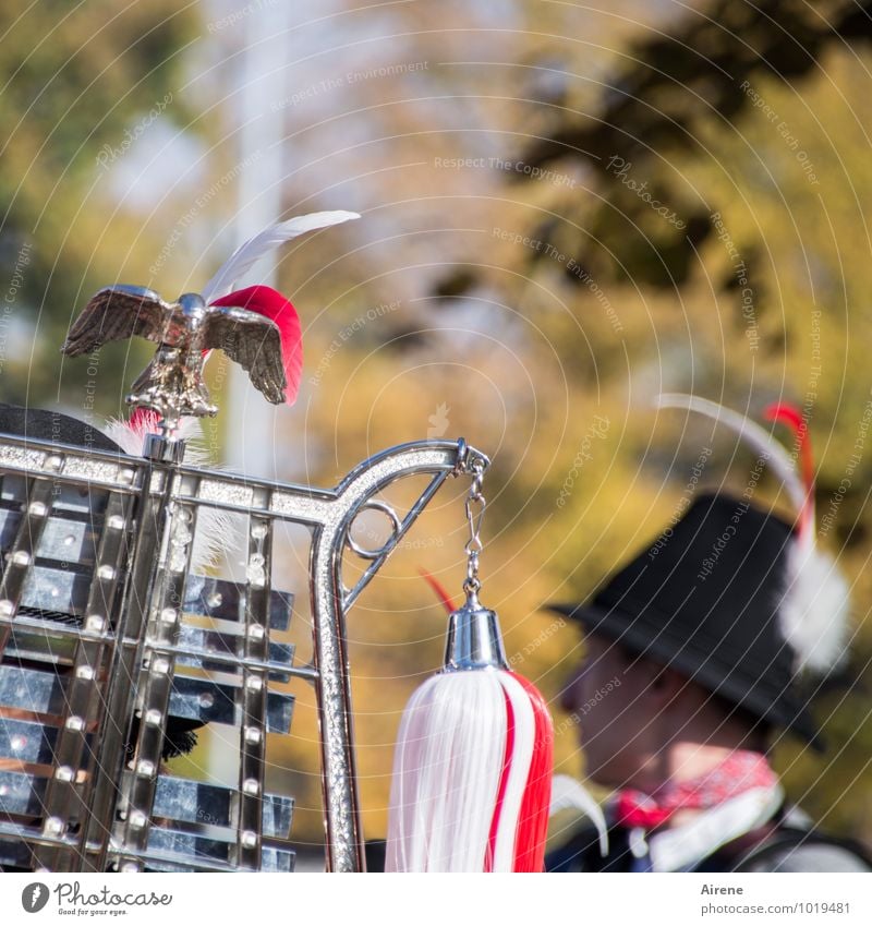 selbstgemacht | Musik Feste & Feiern Jahrmarkt Festzug Parade Mensch feminin Kopf Musiker Glockenspiel Metallophon Schlaginstrumente Musikinstrument Hut