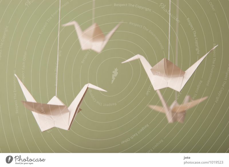 papierkunst Design Zufriedenheit Erholung ruhig Taufe Kindheit Tier Vogel Papier fliegen hängen frei maritim modern nachhaltig Gelassenheit Leichtigkeit
