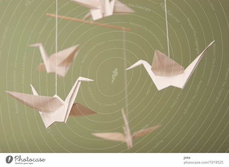 über den köpfen Design Zufriedenheit Erholung ruhig Taufe Kindheit Tier Vogel Papier fliegen hängen frei maritim modern nachhaltig Gelassenheit Frieden