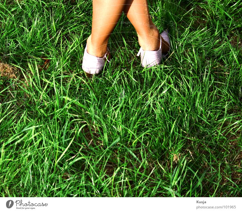 ^ Schuhe Strümpfe Gras grün Wiese Stroh Frau Fuß Rücken