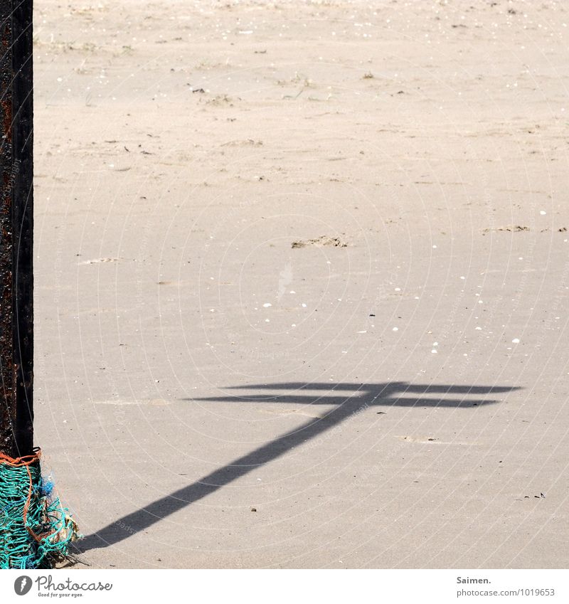 immer richtung meer Natur Sand Küste Strand Nordsee Bewegung Richtung richtungweisend Wegweiser Schatten Schattenspiel netzartig Pfosten Außenaufnahme abstrakt