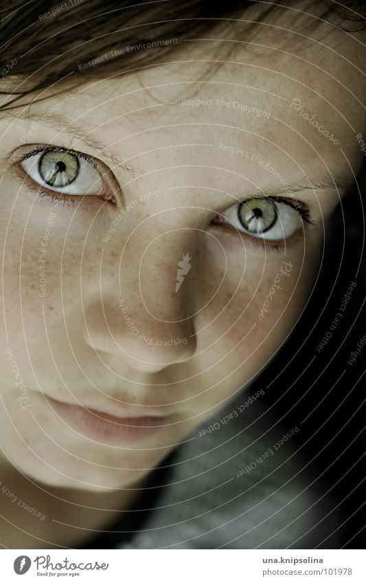 auf ein letztes... Junge Frau Jugendliche Erwachsene Auge grün Sommersprossen fixieren Punkt Porträt Blick 18-30 Jahre Blick in die Kamera Gesicht Haut