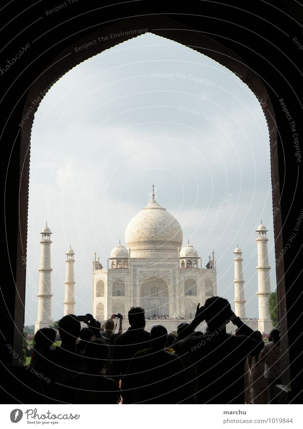 Taj Mahal Ansicht Indien Asien Palast Architektur Fassade Sehenswürdigkeit Denkmal exotisch Ferien & Urlaub & Reisen Religion & Glaube Farbfoto Außenaufnahme