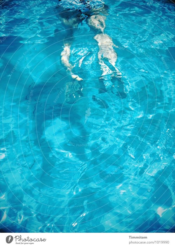 Blau... Schwimmen & Baden feminin Beine Fuß 1 Mensch Schwimmbad Wasser ästhetisch kalt sportlich blau Lebensfreude Farbfoto Außenaufnahme Textfreiraum unten Tag