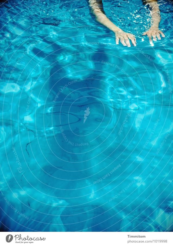 Blau. Schwimmen & Baden feminin Arme Hand 1 Mensch Schwimmbad Wasser ästhetisch kalt sportlich blau Lebensfreude Farbfoto Außenaufnahme Textfreiraum unten Tag