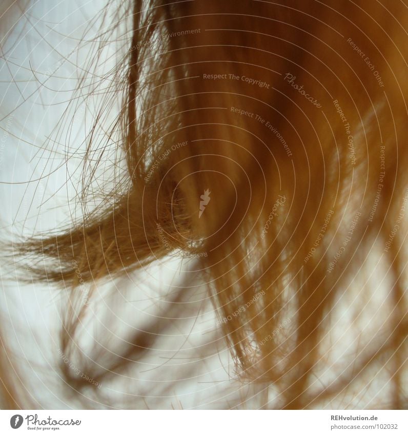 schüttel mein Haar für Dich! krause Haare zerzaust Physik Haare & Frisuren Wellen braun grün langhaarig gewaschen Friseur Schwimmbad Haarschnitt Bad Haarschopf