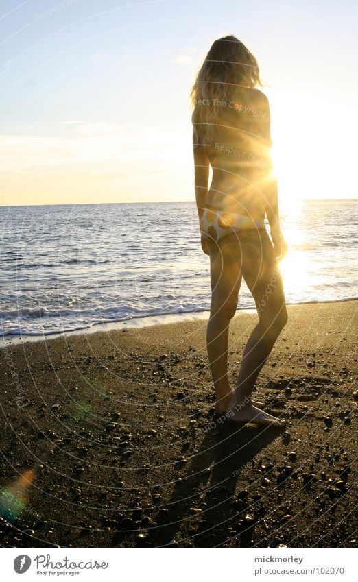 sonnengöttin Sommer Strand Meer Wellen ruhig Ferien & Urlaub & Reisen braun heiß Nackte Haut Bikini Zone La Palma Sonnenaufgang Sonnenuntergang stehen genießen