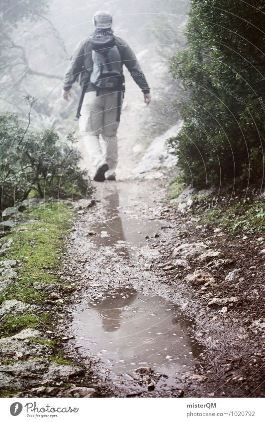 We Walk II Natur Klima schlechtes Wetter Nebel Regen Pflanze Abenteuer Wege & Pfade Einsamkeit Pfütze Reflexion & Spiegelung Nebelschleier Nebelwald Nebelmeer