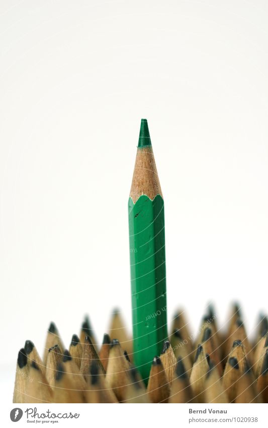 Grüner Schreibstift braun grau grün Bleistift Farbstift Spitze aufstrebend oben Karriere Politiker Holz holzstift mehrere Durchsetzungsvermögen Streber Büro