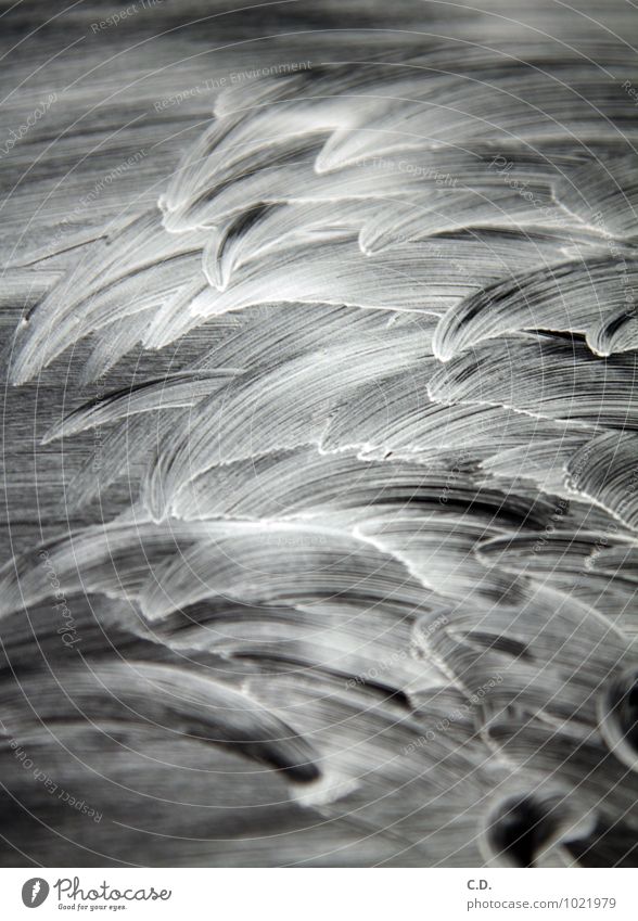 Reiniger auf Cerankochfeld Glas Kunststoff Wasser nass abstrakt gewischt Wischen cerankochfeld Herd & Backofen Schwarzweißfoto Menschenleer