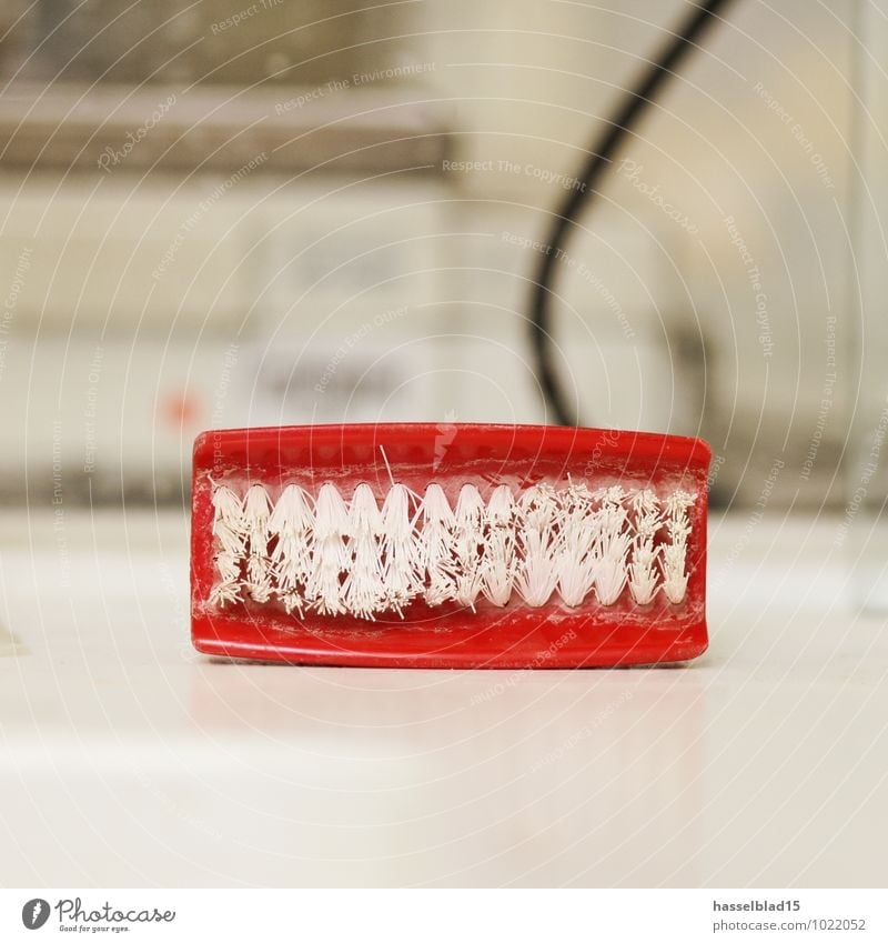 Zahnbürste Zähne lachen Zähneknirschen Karies Reinigen Bürste präventiv Abnutzung dental Labor Abrieb gebraucht Dinge rot Symbole & Metaphern Zahnfleisch