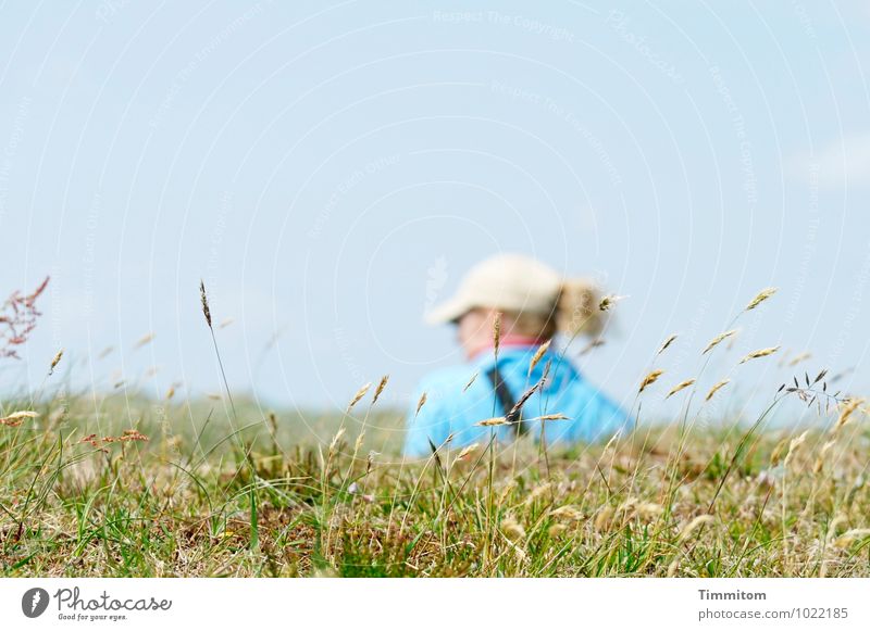 So schön dort! feminin 1 Mensch Umwelt Natur Landschaft Himmel Schönes Wetter Gras Hügel Dänemark Mütze Haare & Frisuren Halm Blick ästhetisch natürlich blau