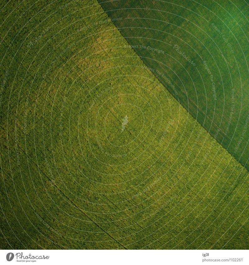 schatzkarte Hintergrundbild Oberflächenstruktur grasgrün Muster abstrakt Textfreiraum Grünfläche Feld Ackerbau Vogelperspektive diagonal