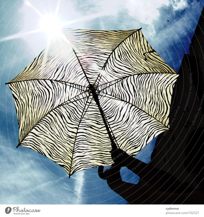RADIO-AKTIV XIII Stil Aktion Sonnenschirm Muster Sommer Himmel Dinge Silhouette Wetterschutz Wärme Schutz festhalten Tigerfellmuster gestreift Gegenlicht