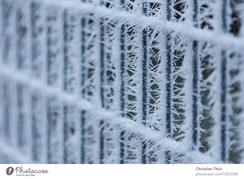 Frost harmonisch Wohlgefühl Sinnesorgane Winter Schnee Umwelt schlechtes Wetter Eis Netz Netzwerk frieren stachelig ruhig Zaun stabmattenzaun "gefroren,"