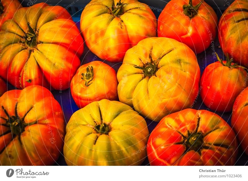 Frische Tomaten Gemüse Ernährung Essen Bioprodukte Vegetarische Ernährung Diät Fasten Slowfood Italienische Küche Leben Sommer Gesundheit saftig Hintergrundbild