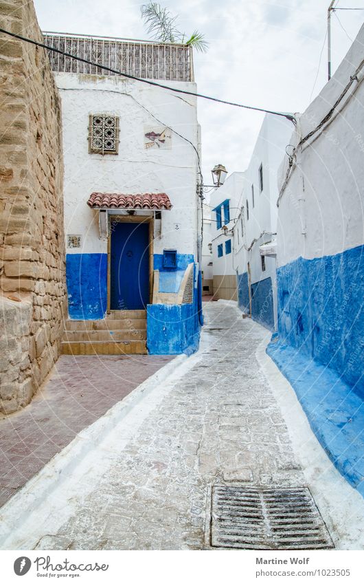 Kasbah de Oudaïa 2 Rabat Marokko Afrika Altstadt Ferien & Urlaub & Reisen Häusliches Leben Gasse blau weiß Farbfoto Außenaufnahme Menschenleer Tag