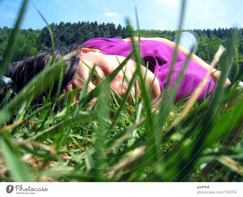 Awake in the wilderness Knie Gras grün violett schwarz Wiese Baum Sommer schlafen Erholung Freizeit & Hobby Frau Mensch Gesicht Haare & Frisuren blau Rasen