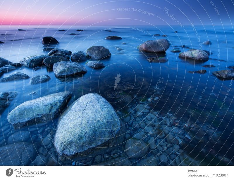 Stoned Wasser Wolkenloser Himmel Horizont Küste Ostsee Stein schön blau grau violett Farbfoto Außenaufnahme Menschenleer Morgen Morgendämmerung Licht
