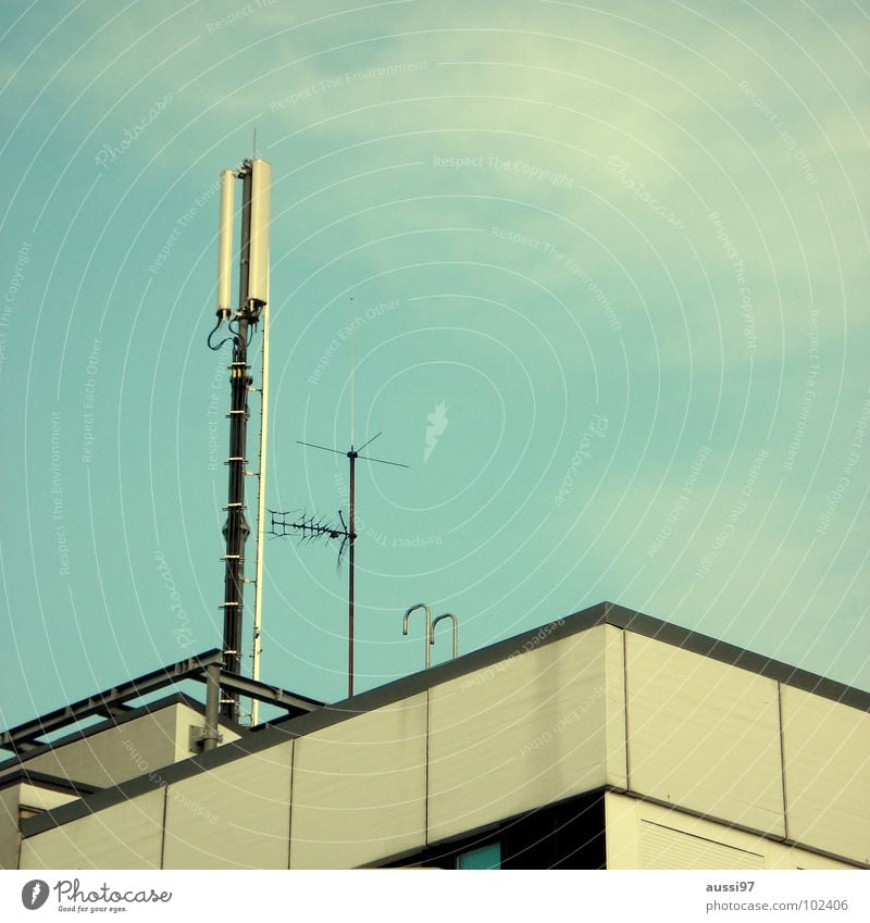 Hertzschmerz II Antenne Hochhaus senden Sendeleistung Strahlung Etage Dach Penthouse Smog Detailaufnahme Frequenz Rundfunksendung Elektromagnetismus Krebstier