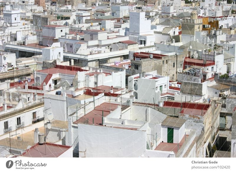 Über den Dächern von Cadiz Spanien Andalusien Turm Dach Pirat Dachterrasse rot weiß Markthalle Ferien & Urlaub & Reisen Sommer Physik Tourist Tourismus Afrika