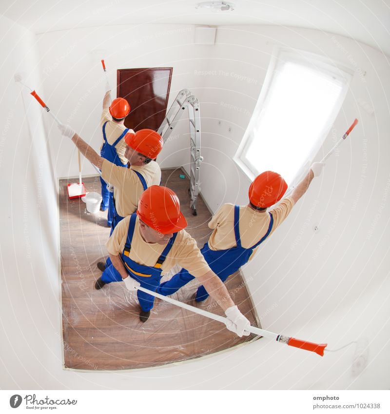 Ein Team von Arbeitern streicht einen kleinen leeren Raum Design Haus Laufmasche Mann Erwachsene 4 Mensch T-Shirt Handschuhe Arbeit & Erwerbstätigkeit