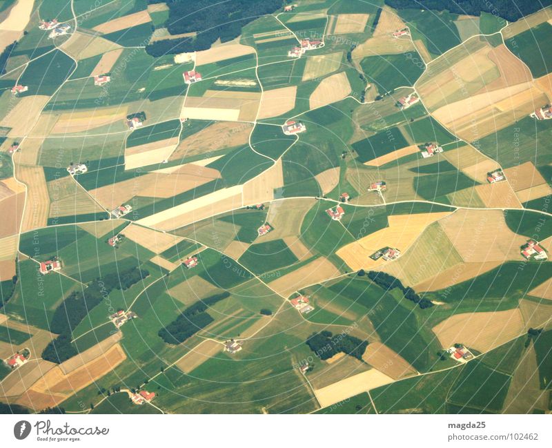 die welt von oben Luftaufnahme Feld Wiese Bauernhof Teppich Flugzeug Vogelperspektive