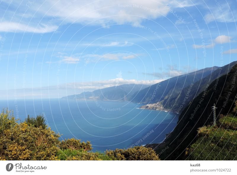 Madeira Ferien & Urlaub & Reisen Tourismus Ausflug Sommer Sommerurlaub Sonne Strand Meer Insel Natur Landschaft Pflanze Tier Wasser Himmel Schönes Wetter Felsen