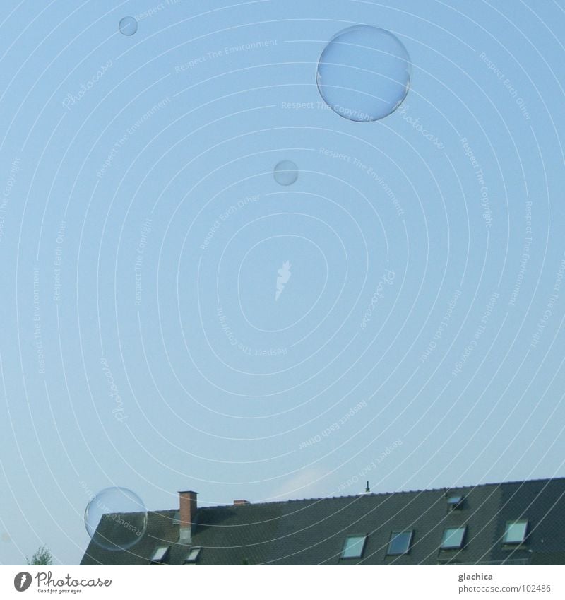Bubbles::: III Seifenblase Ferne Wohnung Mieter Haus mehrfarbig schillernd leicht durchsichtig Schweben Luft zuletzt Dachgarten Morgen frisch luftig