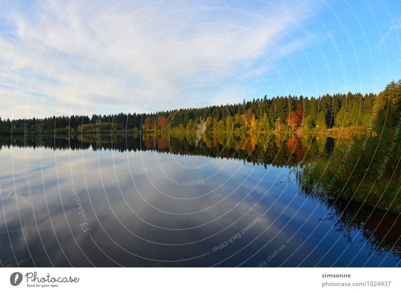 stiller See Natur Wasser Wolken Herbst Nebel Wald Teich Stimmung Fichtelsee Jahreszeiten Fichtelgebirge Bayern Herbstwald Schleier Hintergrundbild Morgen