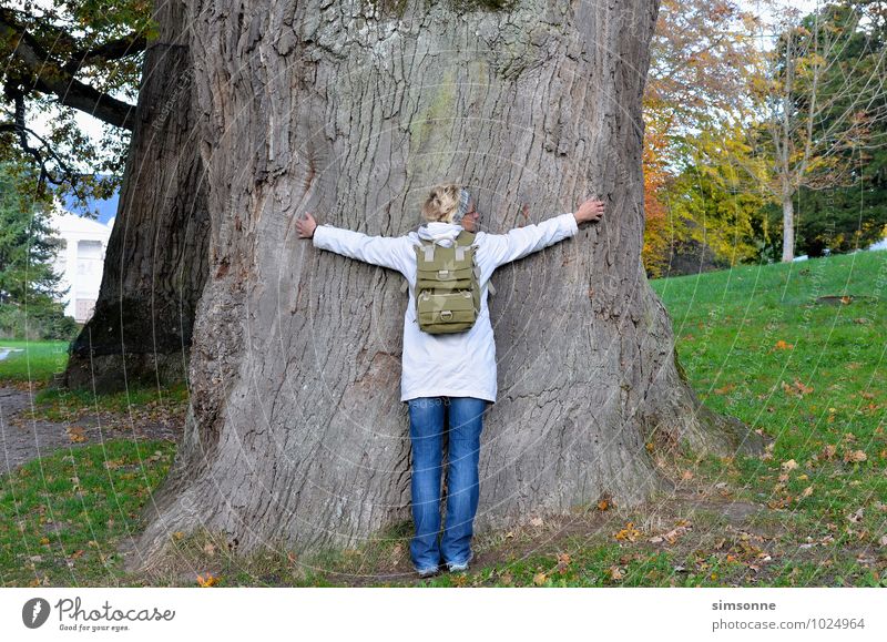 Eine Frau umarmt einen uralten Baum Umwelt Natur Pflanze Urelemente Umarmen natürlich blau Farbfoto Tag