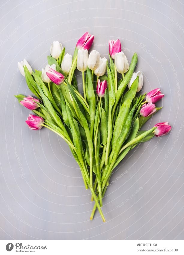 Tulpen Blumenstrauß Stil Design Sommer Feste & Feiern Valentinstag Muttertag Hochzeit Geburtstag Natur Pflanze Frühling Liebe rosa arrangiert weiß grau grün