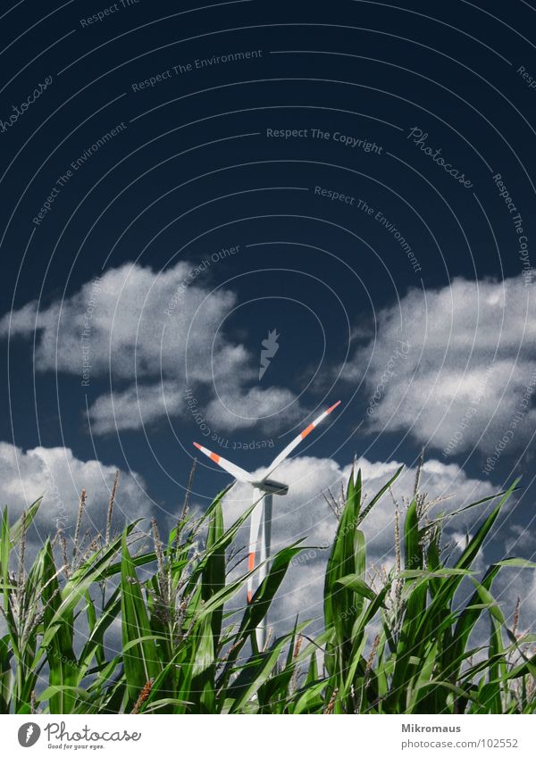 Windrad Industrie Energiewirtschaft Windkraftanlage Umwelt Wolken Klima Klimawandel dunkel grün rot Rad Rotor Elektrizität Verteiler teuer Stromverbrauch Mais